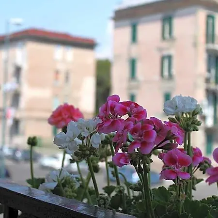 Bed and Breakfast Paura 4*