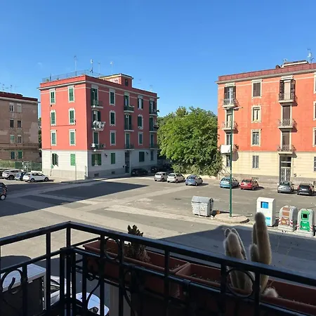 Paura