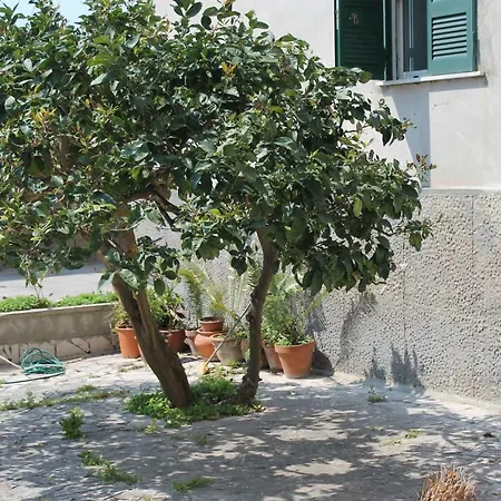 Paura Napoli